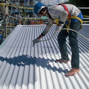 Waterproofing Coating 1 100_3963